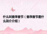 什么叫音序音节（音序音节是什么简介介绍）