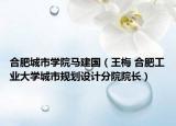 合肥城市学院马建国（王梅 合肥工业大学城市规划设计分院院长）