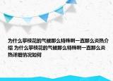 为什么攀枝花的气候那么特殊啊一直那么炎热介绍 为什么攀枝花的气候那么特殊啊一直那么炎热详细情况如何