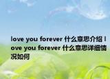 love you forever 什么意思介绍 love you forever 什么意思详细情况如何