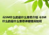 斗SM什么的是什么意思介绍 斗SM什么的是什么意思详细情况如何