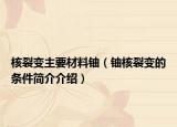 核裂变主要材料铀（铀核裂变的条件简介介绍）