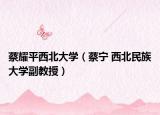 蔡耀平西北大学（蔡宁 西北民族大学副教授）