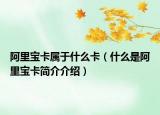 阿里宝卡属于什么卡（什么是阿里宝卡简介介绍）