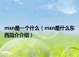 msn是一个什么（msn是什么东西简介介绍）