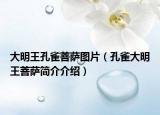 大明王孔雀菩萨图片（孔雀大明王菩萨简介介绍）