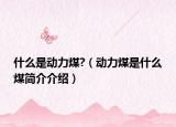 什么是动力煤?（动力煤是什么煤简介介绍）