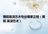 舞蹈表演艺术专业哪家正规（舞蹈 表演艺术）