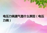 电压力锅漏气是什么原因（电压力锅）