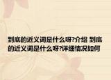 到底的近义词是什么呀?介绍 到底的近义词是什么呀?详细情况如何
