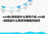 adc的c到底是什么意思介绍 adc的c到底是什么意思详细情况如何