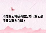 河北冀云科技有限公司（冀云是干什么简介介绍）