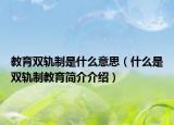 教育双轨制是什么意思（什么是双轨制教育简介介绍）
