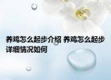 养鸡怎么起步介绍 养鸡怎么起步详细情况如何