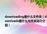 downloading是什么文件夹（downloads是什么文件夹简介介绍）