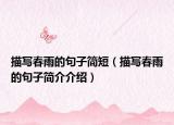 描写春雨的句子简短（描写春雨的句子简介介绍）
