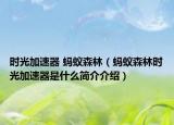 时光加速器 蚂蚁森林（蚂蚁森林时光加速器是什么简介介绍）