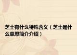 芝士有什么特殊含义（芝士是什么意思简介介绍）