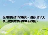 丘成桐是清华教授吗（谢丹 清华大学丘成桐数学科学中心教授）
