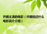 许晴主演的电影（许晴拍过什么电影简介介绍）