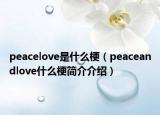 peacelove是什么梗（peaceandlove什么梗简介介绍）