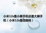 小米12s是小屏手机还是大屏手机（小米12s是微曲吗）