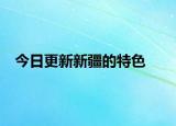 今日更新新疆的特色