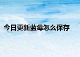 今日更新蓝莓怎么保存