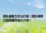 团队凝聚力怎么打造（团队凝聚力如何提升简介介绍）