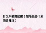 什么叫做隐翅虫（翅隐虫是什么简介介绍）