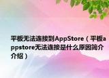 平板无法连接到AppStore（平板appstore无法连接是什么原因简介介绍）
