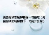 羌笛何须怨杨柳的后一句是啥（羌笛何须怨杨柳的下一句简介介绍）