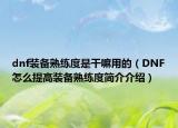 dnf装备熟练度是干嘛用的（DNF怎么提高装备熟练度简介介绍）