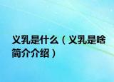 义乳是什么（义乳是啥简介介绍）