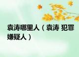 袁涛哪里人（袁涛 犯罪嫌疑人）