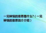 一见钟情的意思是什么?（一见钟情的意思简介介绍）