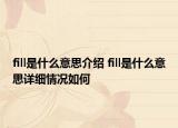 fill是什么意思介绍 fill是什么意思详细情况如何