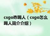 csgo咋踢人（csgo怎么踢人简介介绍）