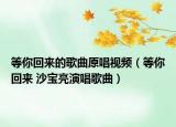 等你回来的歌曲原唱视频（等你回来 沙宝亮演唱歌曲）
