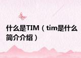 什么是TIM（tim是什么简介介绍）