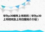 华为p30哪年上市时间（华为p30上市时间及上市日期简介介绍）