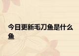 今日更新毛刀鱼是什么鱼
