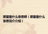 愿望是什么意思啊（愿望是什么意思简介介绍）