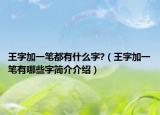 王字加一笔都有什么字?（王字加一笔有哪些字简介介绍）