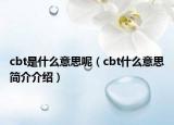 cbt是什么意思呢（cbt什么意思简介介绍）
