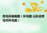 青岛环城南路（环岛路 山东省青岛市环岛路）