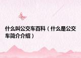 什么叫公交车百科（什么是公交车简介介绍）