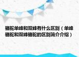 骆驼单峰和双峰有什么区别（单峰骆驼和双峰骆驼的区别简介介绍）