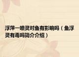 浮萍一喷灵对鱼有影响吗（鱼浮灵有毒吗简介介绍）