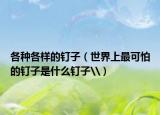 各种各样的钉子（世界上最可怕的钉子是什么钉子\）